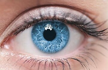 Зрение может быть восстановлено при некоторых видах слепоты с помощью технологии, использующей светочувствительные молекулы водорослей