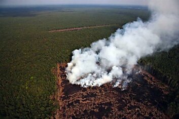 Фоторассказ о пагубном влиянии человечества на климат нашей планеты.