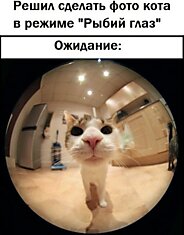 Увидел красивую фотку в инете