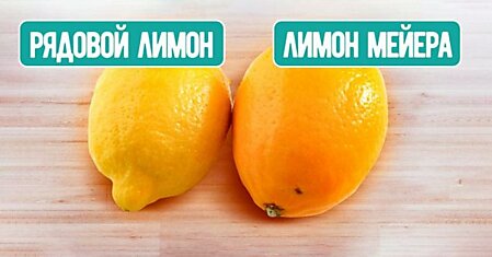 Дотошный продавец на рынке научил, как отличать «лимон мейера» от рядового лимона, трачу деньги лишь на лучшие цитрусовые