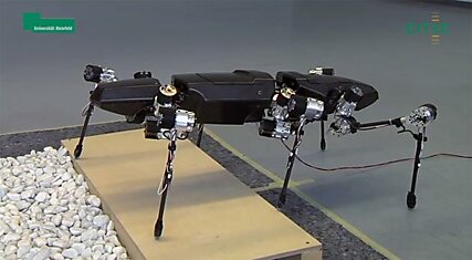 HECTOR: робот-палочник из Университета Билефельда