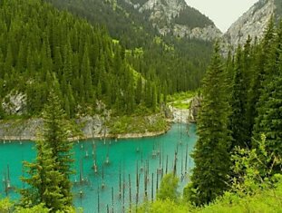 Удивительный затонувший лес в Казахстане