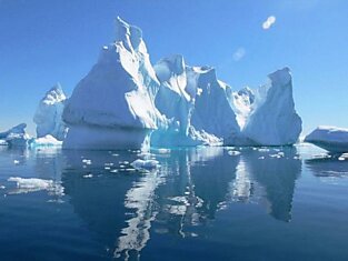 Льды Антарктики скрывали тысячи новых и неизведанных форм жизни