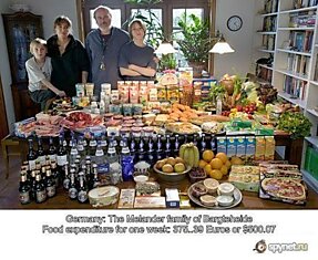 Недельное потребление продуктов семей из разных стран (9 фото)