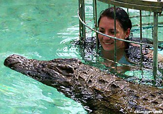 В одном водоеме с крокодилами (4 фото)