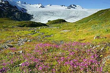 Красиво в Альпах (25 фото)