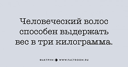 Десять необыкновенных фактов, пересказ которых поможет вам выделиться в компании