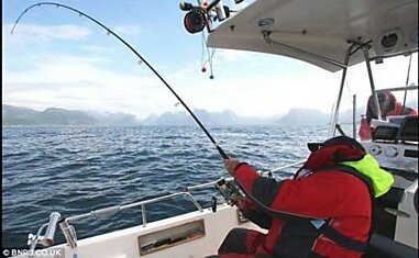 В Норвегии поймали самого большого Атлантического палтуса в мире