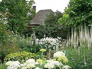 Белые цветы для монохромного сада: подборка лучших сортов
