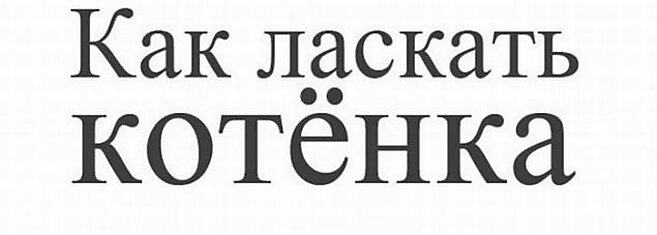 Как правильно ласкать котейку (6 картинок)