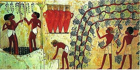 Ученые—древние египтяне были вегетарианцами