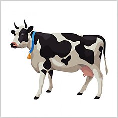 «Я же сказал тебе: купи корову!»