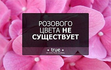 РОЗОВОГО ЦВЕТА НЕ СУЩЕСТВУЕТ!