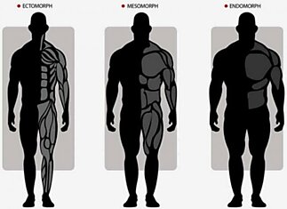 Программы тренировок для каждого типа телосложения