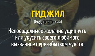 20 слов, которых нет в русском языке