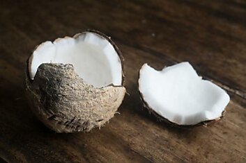 Как сделать тарелку из кокосовой скорлупы