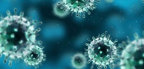 Ученые нашли способ активации иммунитета против вирусов