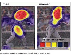 Куда смотрят люди во время рекламы