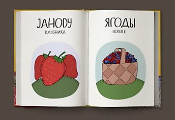 Веселый чешско-русский словарь в картинках
