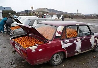В такую машину помещается до 700 кг мандаринов.