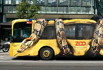 Змееавтобус (2 фото)