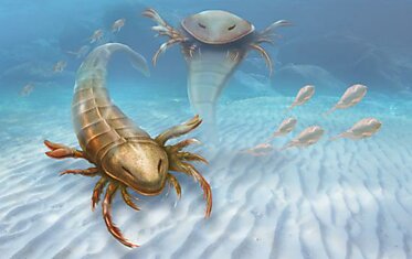 Палеонтологи нашли останки крупнейшего предка раков и скорпионов