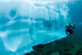 Плавание под льдом (15 фото)