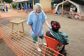 От лихорадки Эбола в Африке погибло уже свыше 600 человек