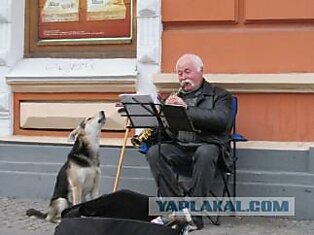 Днепропетровский пес стал звездой