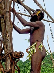 Древняя традиция племени с острова Вануату