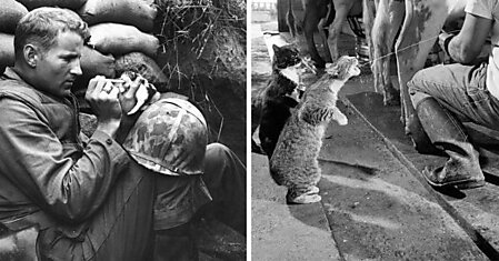 Радость на все времена: умилительные исторические фотографии