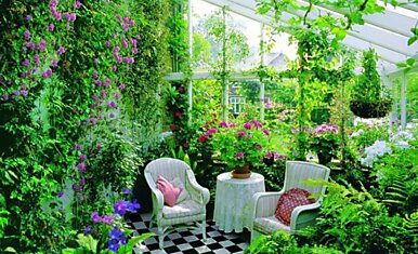 Растения в интерьере вашего дома