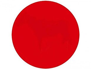 Испытайте Зрение: Что Вы Видите Внутри Этого Красного Круга?