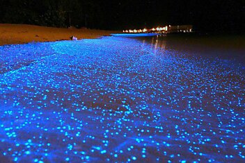 “Фантастический океан звёзд“ - пляж на Мальдивах