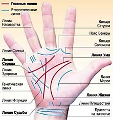 Профессия на ладони