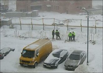 Деревья нужно сажать весной! (2 фотографии)