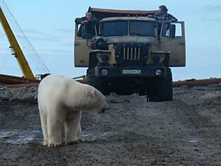 Зашел в гости (18 фотографий)