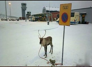 Такси в Лапландии