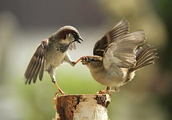 А ну рот закрой!