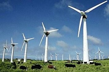 В Дании за один день с помощью ветра выработали электричества больше, чем требуется стране