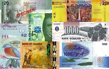 Самые красивые банкноты (18 фото)