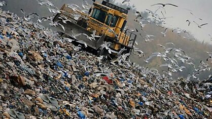 Швеция сейчас перерабатывает 99 процентов мусора