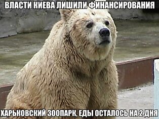 Власти Киева лишили финансирования Харьковский зоопарк!!!