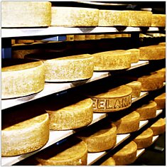Как правильно хранить сыр? (8 фото)