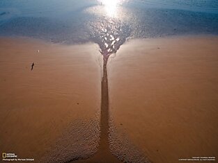 лэкпул, Англия. "Дерево" в воде. Снимок сделан с высокого деревянного пирса. Автор фото: Mariusz Smiejek.