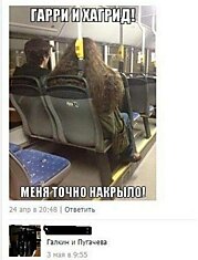 Прикольные картинки