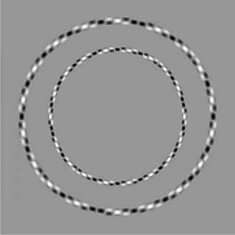 Эти два круга идеально ровные - оптические иллюзии