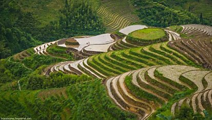Необыкновенные рисовые террасы в Лонгшень (35 фото)