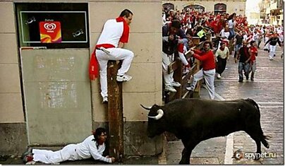 Испания - Бег с быками в Памплоне (30 фото)