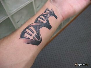 Научные татуировки (53 фото)